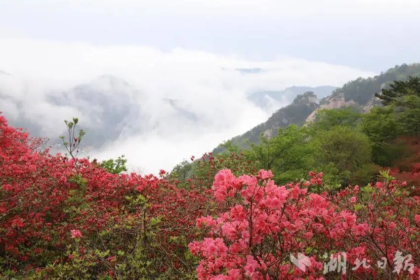 （0326改）麻城，向上！.docx