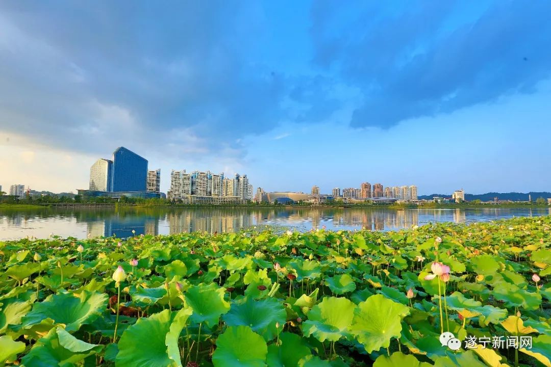 定目標!2018年遂寧空氣質量優良天數比例要達到83%以上