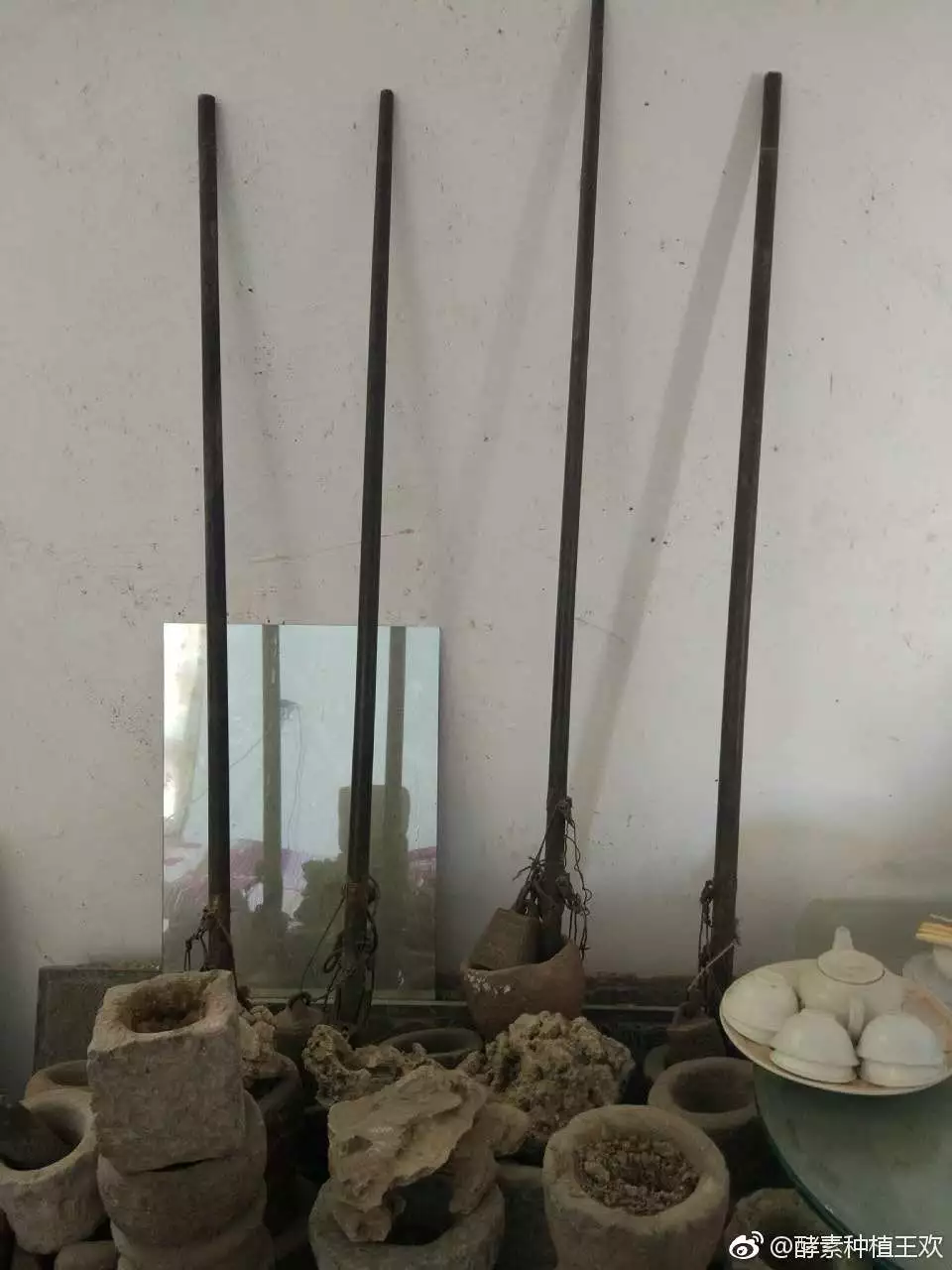 登录查看大图