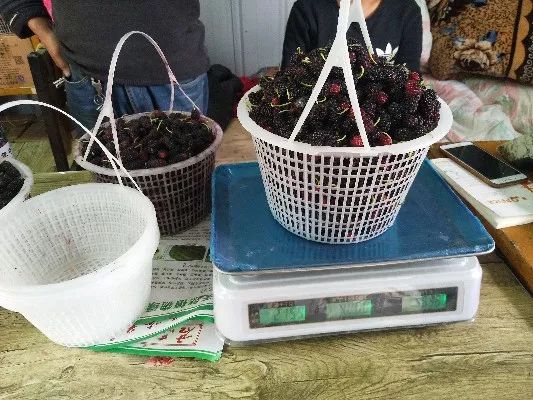 登錄查看大圖