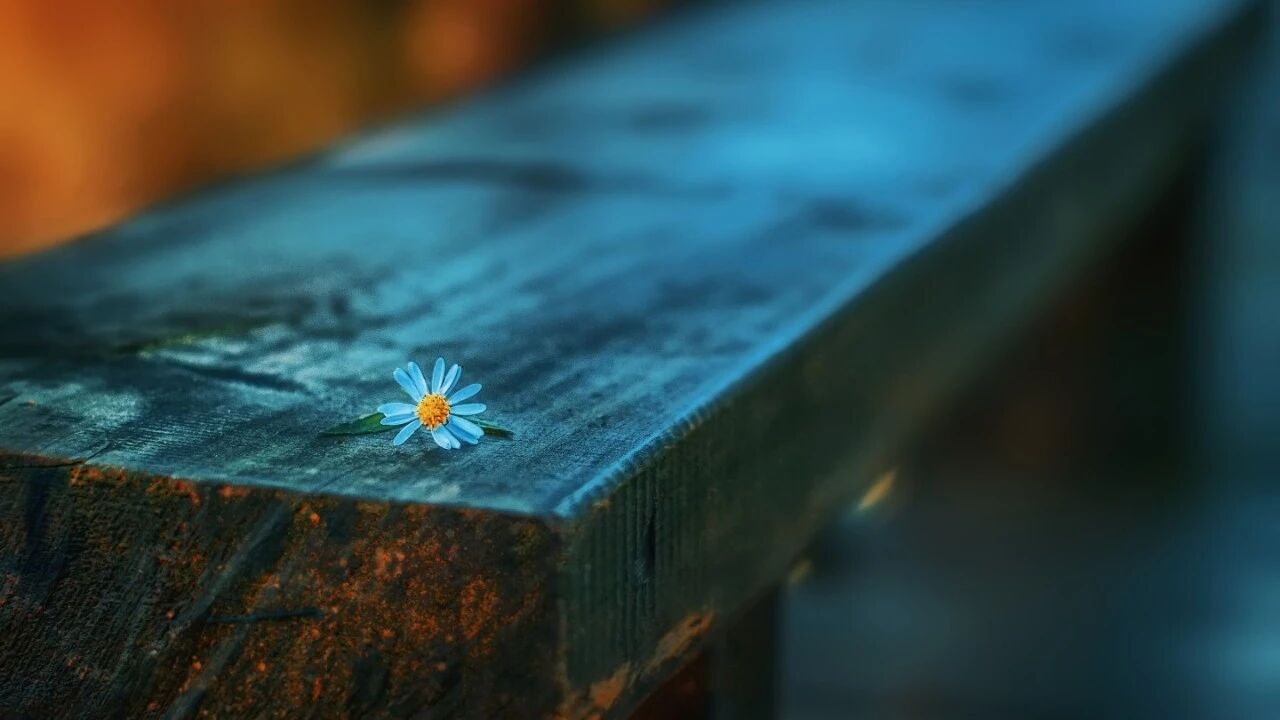 【青春语文·卢望军思想的芦苇】你的心理支持系统，够完备吗？