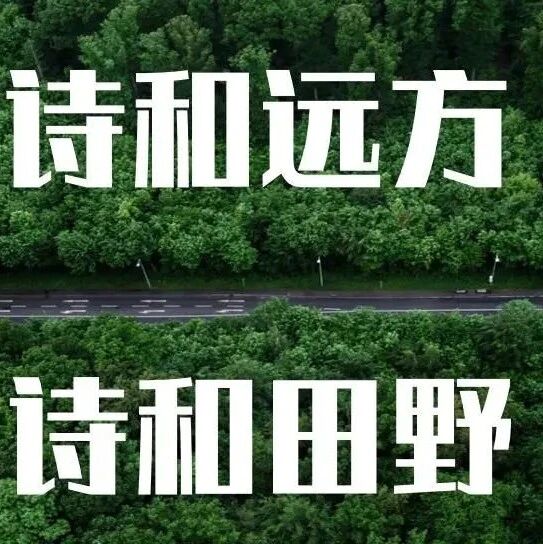 【青春语文·望军专栏】没有审美力是绝症，AI也救不了