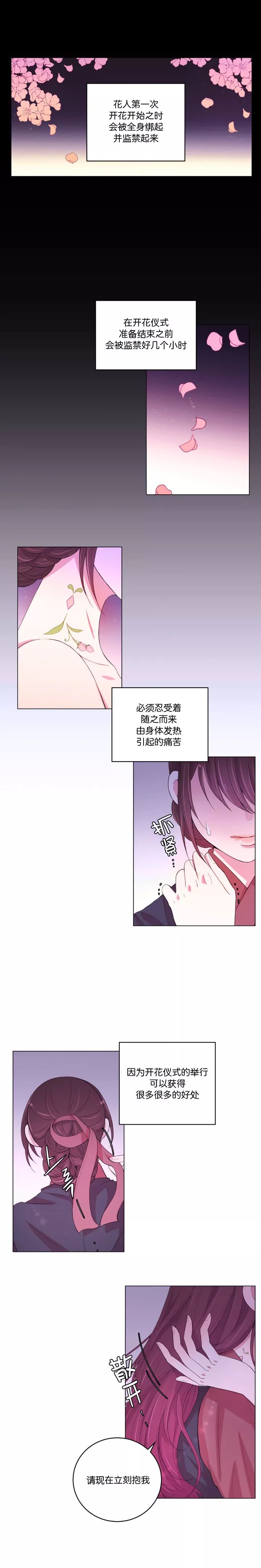 月夜花园介绍