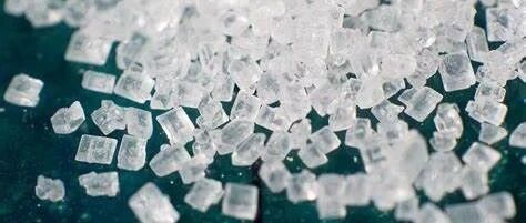 一文梳理清楚：好的“糖”、坏的“糖”、以及不叫糖的糖