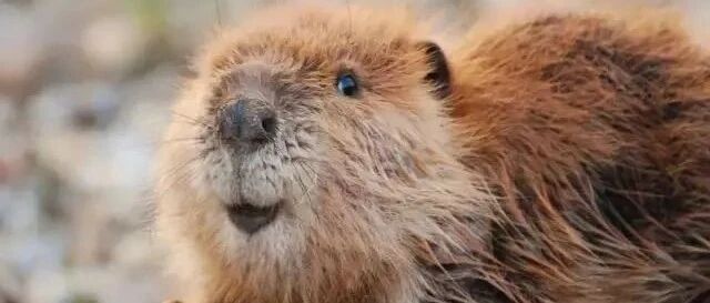 网友见面，有什么方法可以避免尬聊？