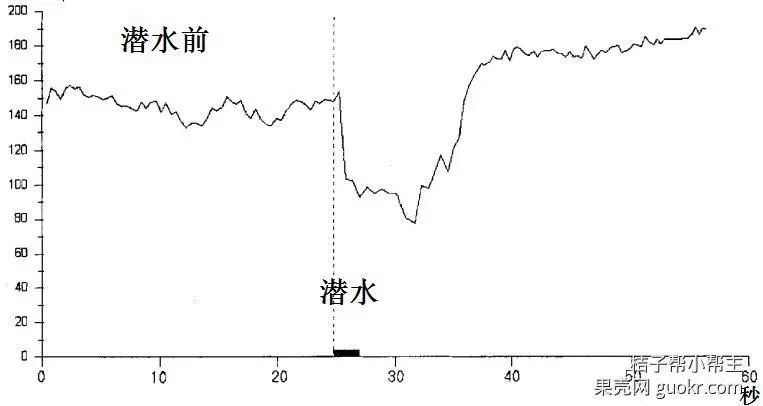 懷孕需要改變什麼（16）番外篇—小娃的夢 親子 第8張