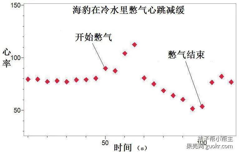 怀孕需要改变什么 16 番外篇 小娃的梦 科学松鼠会 二十次幂