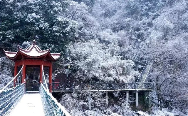 對不起，我要去磐安了！ 旅遊 第16張