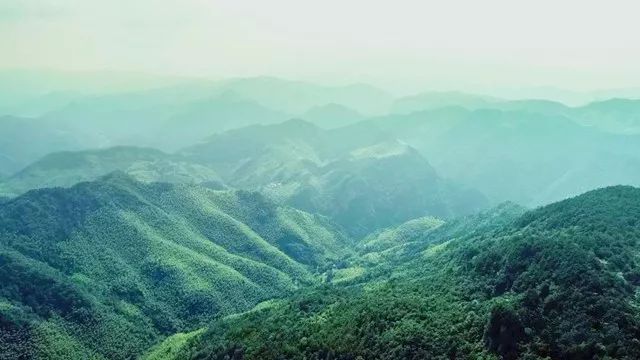 對不起，我要去磐安了！ 旅遊 第25張