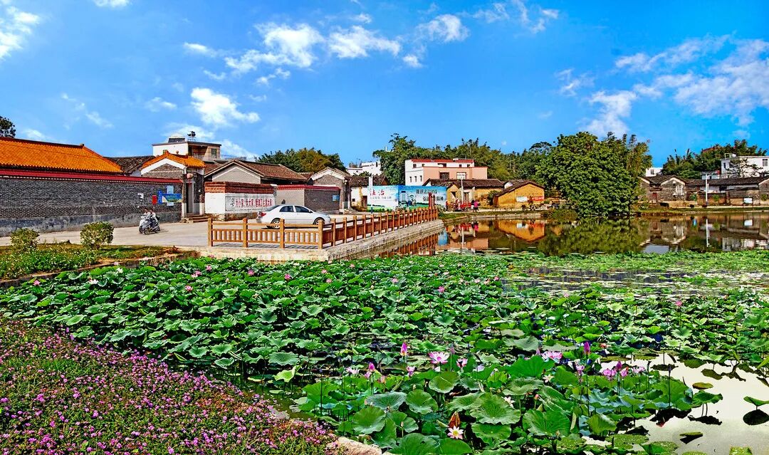 深藏功与名:怀集的这些特色之处你知道吗?