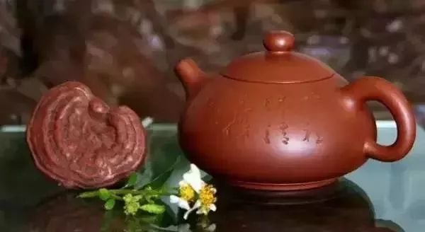 关于茶具：紫砂壶的发茶秘密，又长知识了