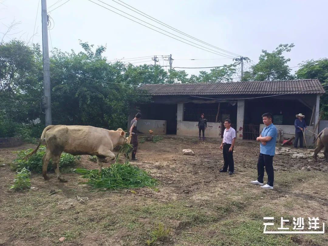 致富牛人四川乡村_致富牛人_致富经牛