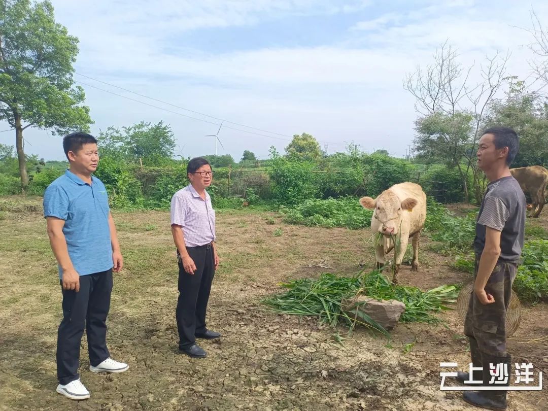 致富牛人四川乡村_致富牛人_致富经牛