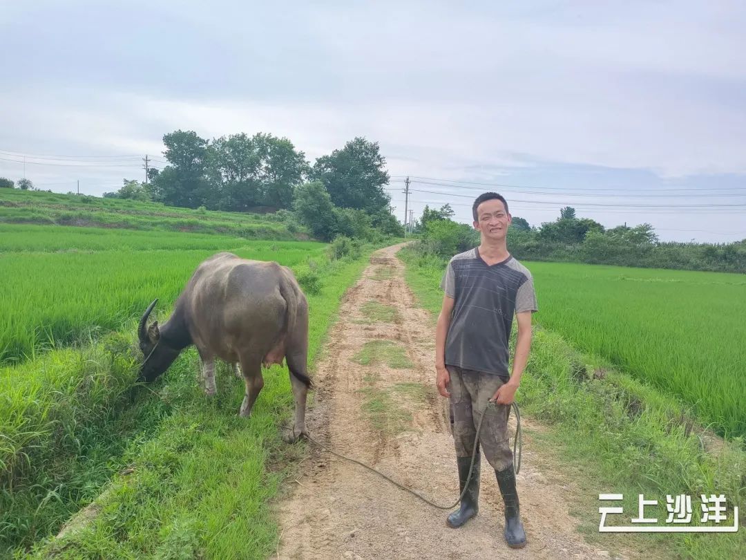 致富牛人_致富牛人四川乡村_致富经牛