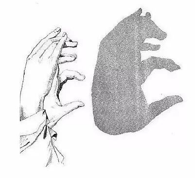 【英文视频】动物类词汇这样学,好玩又有趣!|手影学单词