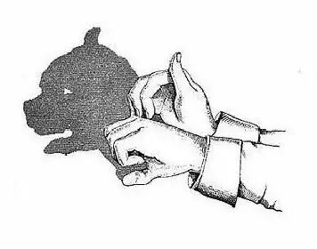 【英文视频】动物类词汇这样学,好玩又有趣!|手影学单词