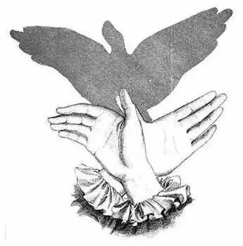 【英文视频】动物类词汇这样学,好玩又有趣!|手影学单词