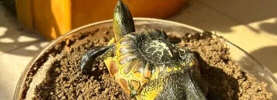 那个男人在台州剃头，两年赚了40万！比男人还狠..(图6)