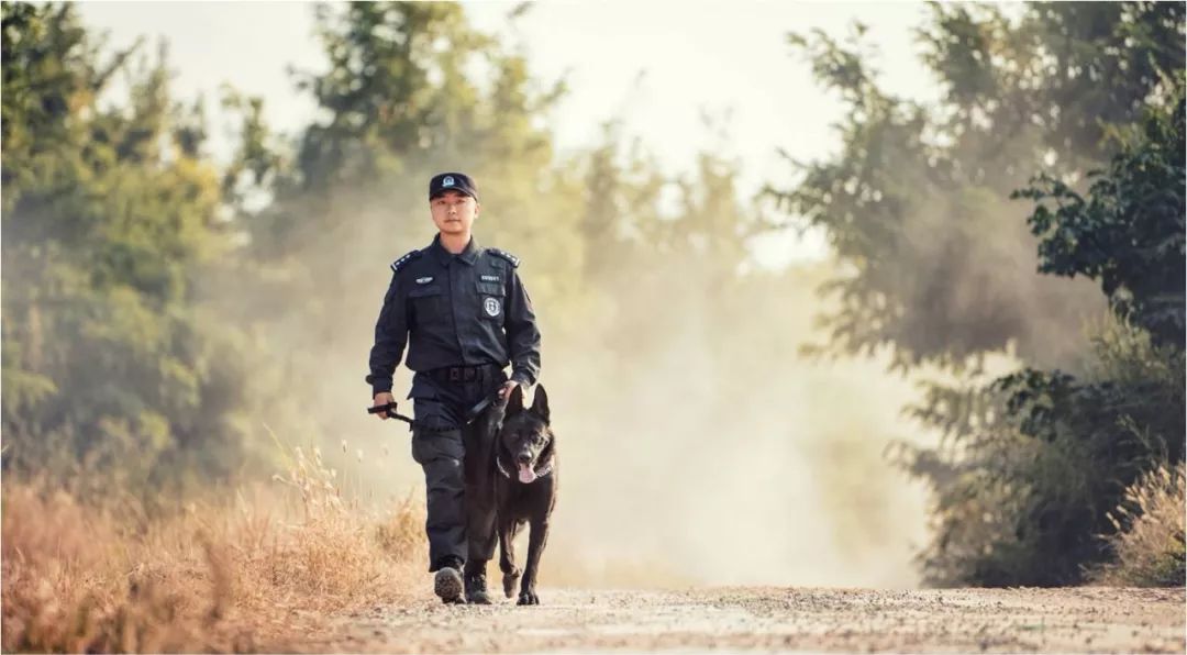 符世彻 训练警犬 百度 勇夺搜爆冠军 中国工作犬 微信公众号文章阅读 Wemp