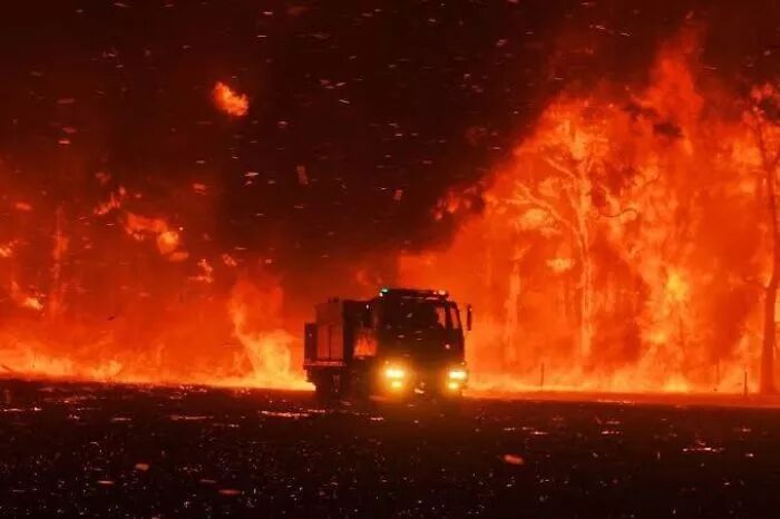 世卫官宣：这个致死率超高的病毒再次爆发！2020，还会好吗？（组图） - 13