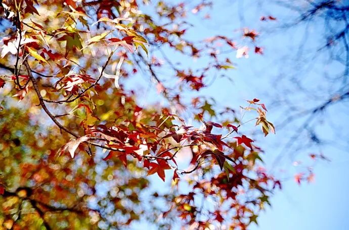 澳洲“封国”一年多，这些悄悄发生的变化，让全世界羡慕（组图） - 15