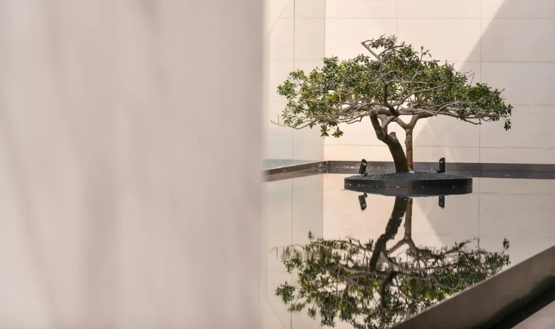 南沙西派澜岸即将加推3栋，建面125㎡~140㎡！