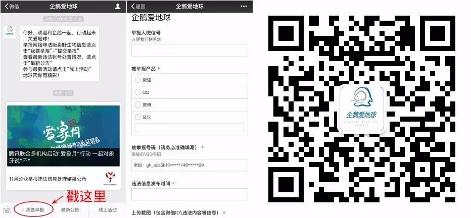 藏在微信、QQ裡的非法野生動物貿易,騰訊出手了!