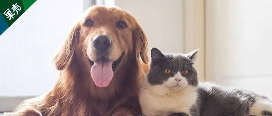 如果你家主子是一本百科全书，你读懂了几页？