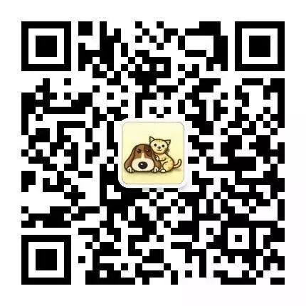 重口味慎入|泰迪,是怎麼從你的全世界一路日過去的?