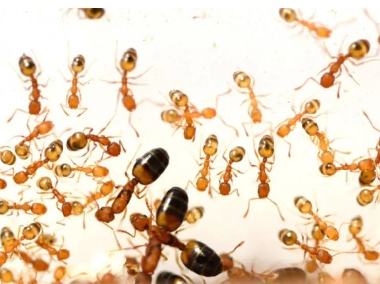 世间生物进化_世界生物进化_世间进化生物是什么