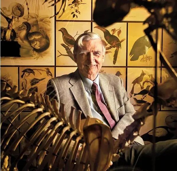 世界生物进化_世间进化生物是什么_世间生物进化