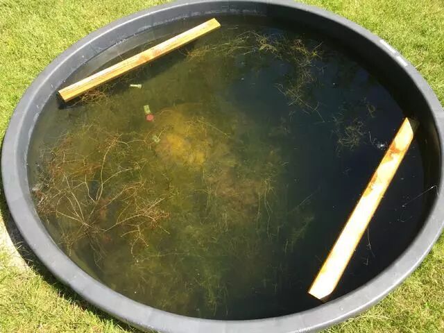 聚酯纤维板与玻璃纤维吸音棉_部队维稳纤维聚酯甩棍_聚酯纤维是塑料吗