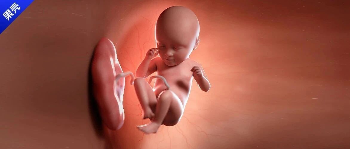 生娃很顺利，“生出”胎盘我却用了40天​