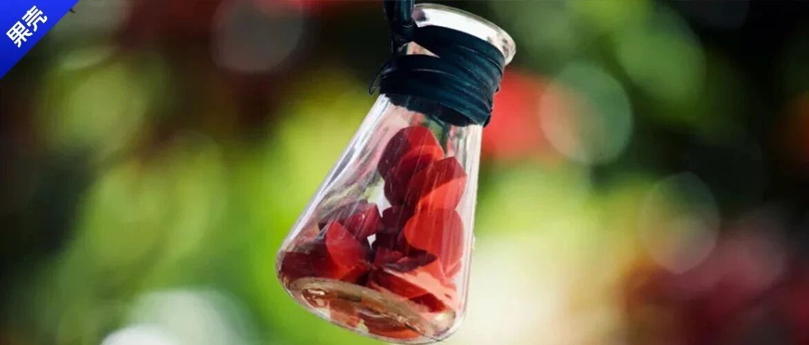 与癌细胞“和解”后，爸爸的精神一天天好了起来