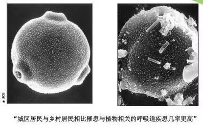 春天過敏怎麼辦？看協和醫生專業解答 健康 第5張