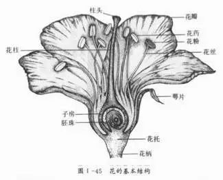 春天過敏怎麼辦？看協和醫生專業解答 健康 第2張