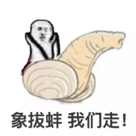 「象拔蚌,我們走!」「……您下來吧,我們象拔蚌不會動。」