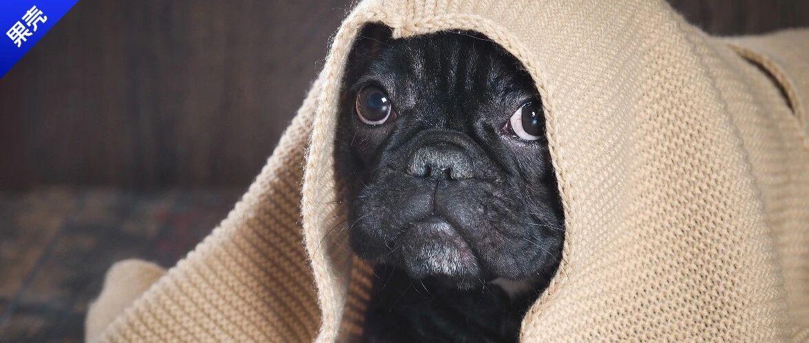 既然老婆饼里没老婆，你觉得老寒腿跟冷有关系吗？