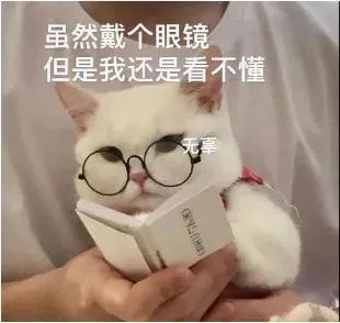 读是什么单词_读是什么意思英语_relative是什么意思?怎么读