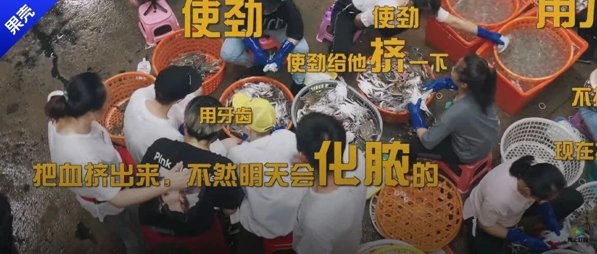 大错特错！鹿晗被螃蟹夹后，这波操作其实很危险
