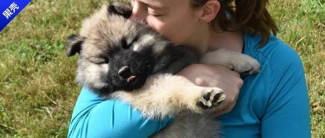 狗和男友如果只能选一个，那当然是选……