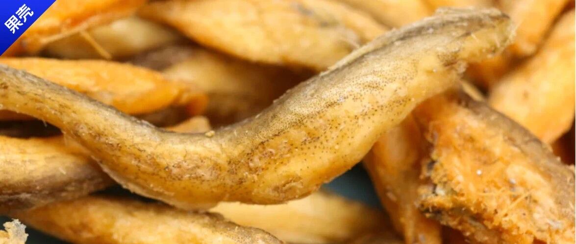 救命！没有摸鱼的命，偏偏得了摸鱼的病？