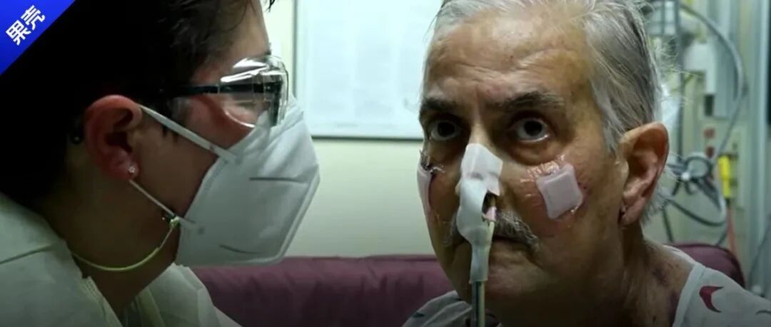 猪心脏移植第一人去世，术后存活2个月