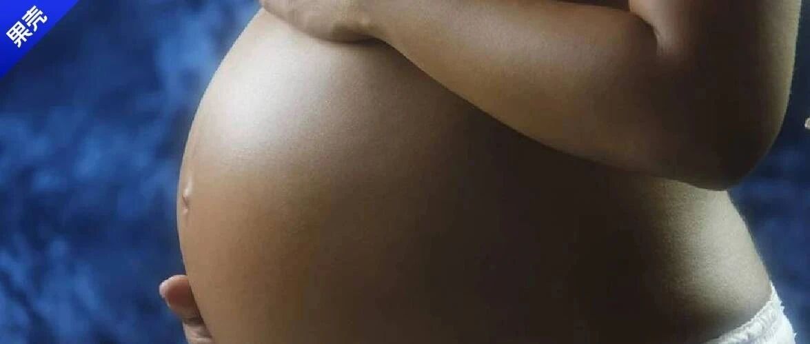 站着生、挂树上生、围一圈生、没有雄性的自己也能生……