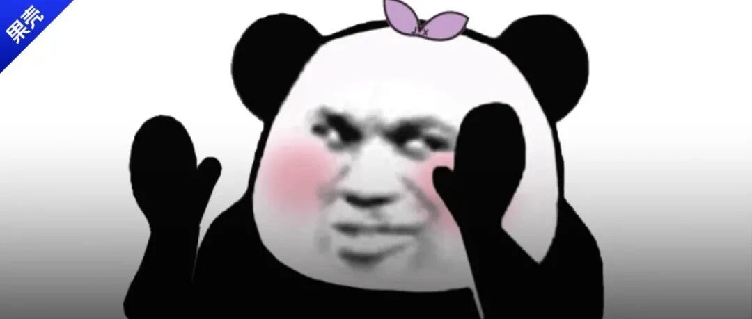 现在的内衣已经卷到这种程度了吗？！