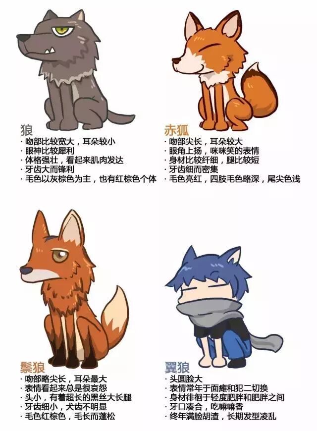 你見過長腿 黑絲 狐媚臉的美少狼嗎 還是個吃素的狼喲 果殼網 微文庫