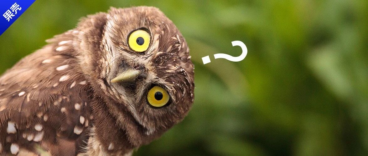 猫头鹰血+酒？为了治疗这种病，人类“脑洞大开”了上千年