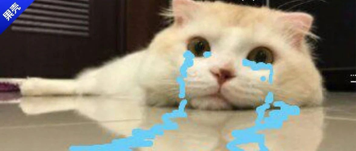 谁说带娃不能发火？你可能在PUA自己，也在坑孩子