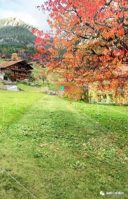 射频什么科射频治疗技术疼痛科专家共识_https://www.jmylbn.com_新闻资讯_第2张