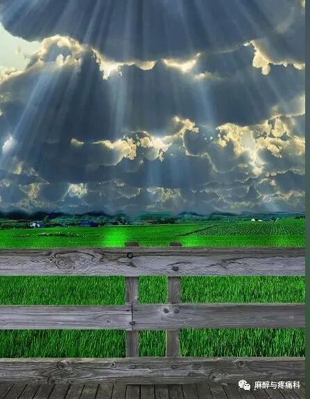 射频什么科射频治疗技术疼痛科专家共识_https://www.jmylbn.com_新闻资讯_第3张